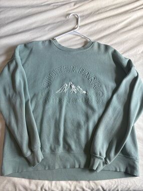 wild fable Mint Green Embroidered Crewneck Sweatshirt
